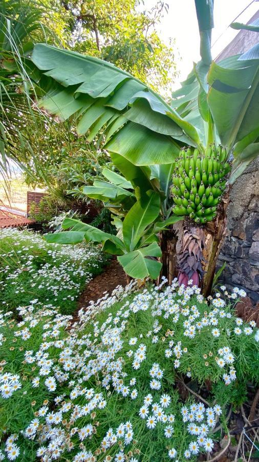 Casa Ideal Para Familias Com Vista Mar Desafogada Funchal  Exterior foto